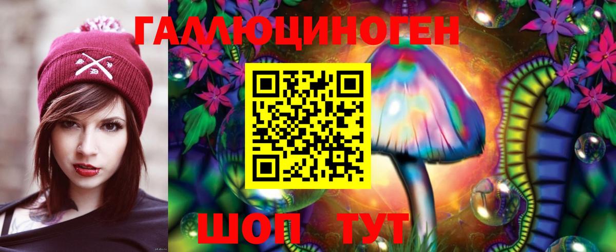 Галлюциногенные грибы Psilocybe Ипатово